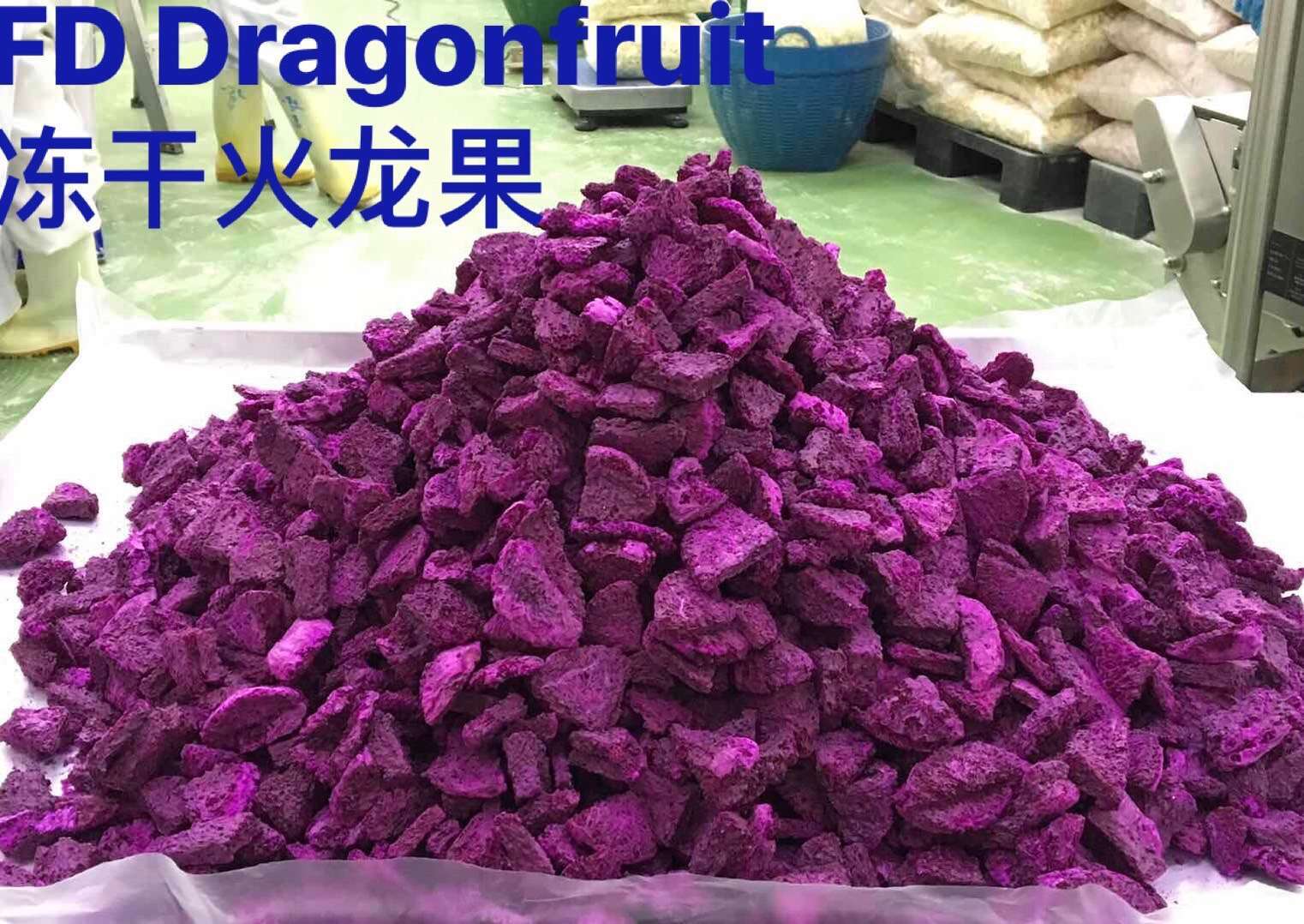 Dragon Fruit Freeze Dried