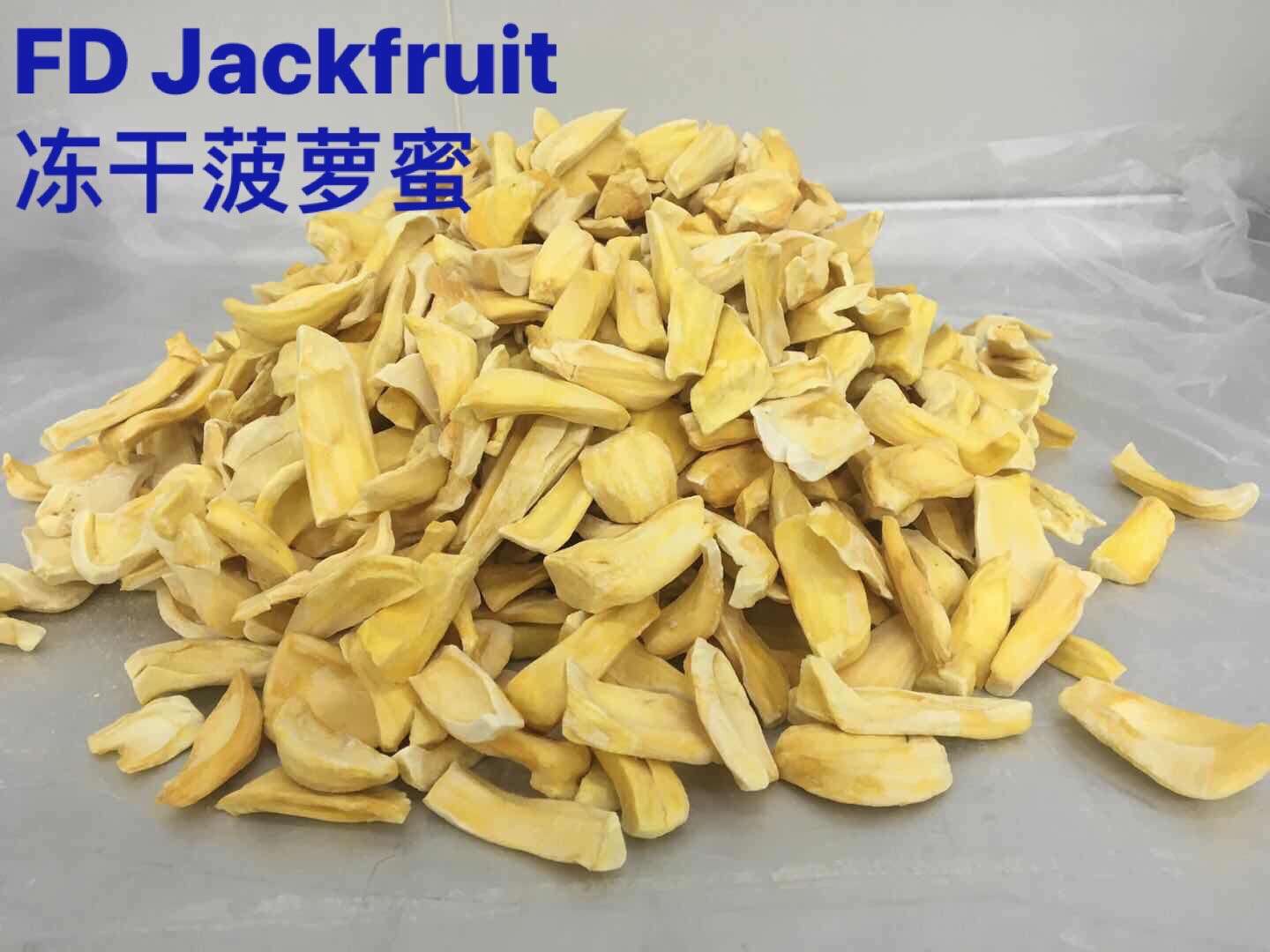Jackfruit Freeze Dried