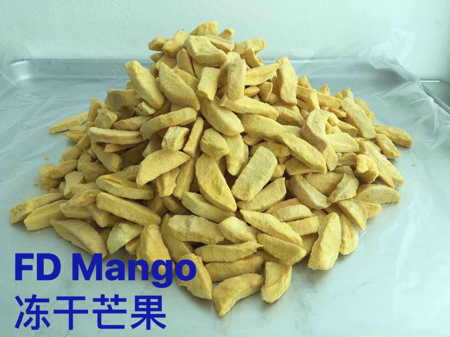 Mango Freeze Dried