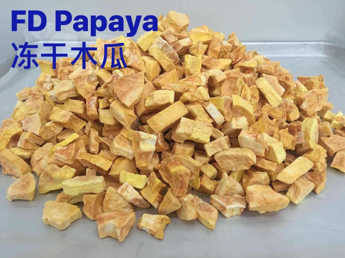 Papaya Freeze Dried